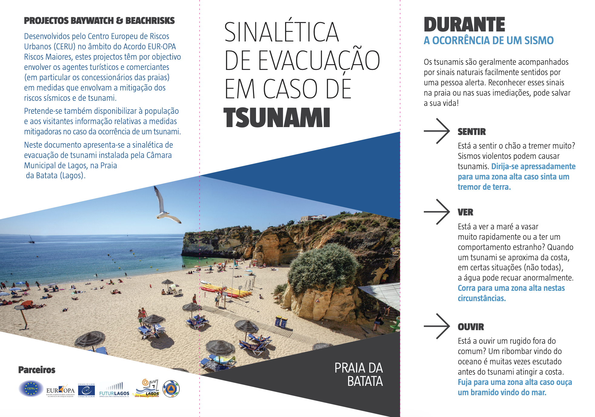 Pré-visualização do documento